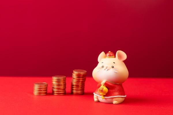 属猪2025年转运_2025年属猪人转运指南如何把握机遇迎接好运 属猪2025年转运_2025年属猪人转运指南如何把握机遇迎接好运