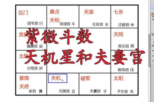 夫妻宫26一35是指年龄吗 夫妻宫2635岁解析年龄与婚姻运势的奥秘 夫妻宫26一35是指年龄吗 夫妻宫2635岁解析年龄与婚姻运势的奥秘