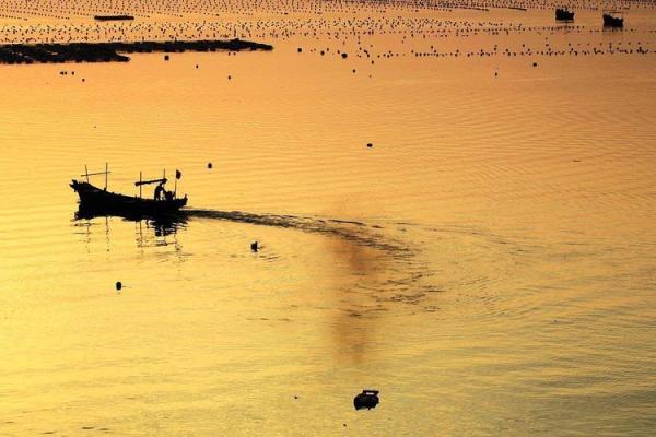 沧海桑田是什么生肖(沧海桑田是什么生肖打一种动物) 沧海桑田是什么生肖(沧海桑田是什么生肖打一种动物)