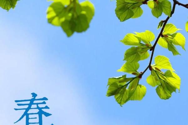 春分的分是什么意思 春分的分是什么意思