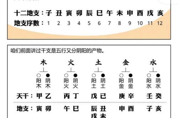 生辰八字指的是哪八字详解八字命理基础 生辰八字指的是哪八字详解八字命理基础