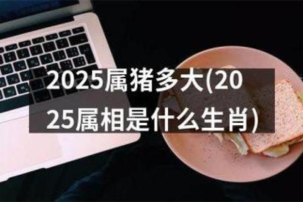 2025年属猪运势及运程_2025年属猪运势详解全年运程预测与吉凶分析