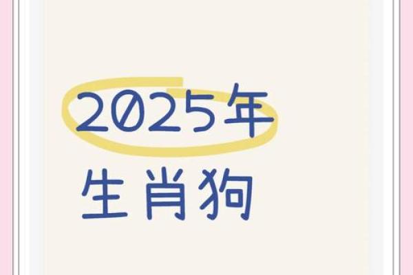 属狗人2025年年龄计算及运势解析