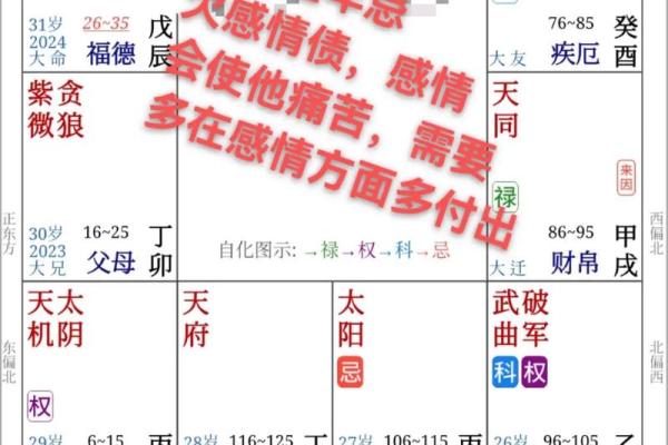 夫妻宫 太阳化忌 夫妻宫太阳化忌婚姻有实无名 夫妻宫 太阳化忌 夫妻宫太阳化忌婚姻有实无名