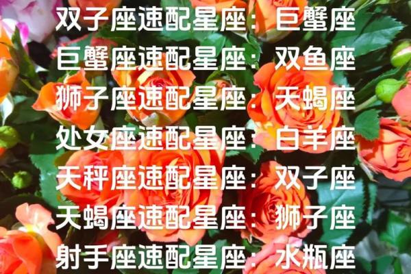 白羊座和什么最配对(白羊座和巨蟹座的配对指数) 白羊座和什么最配对(白羊座和巨蟹座的配对指数)