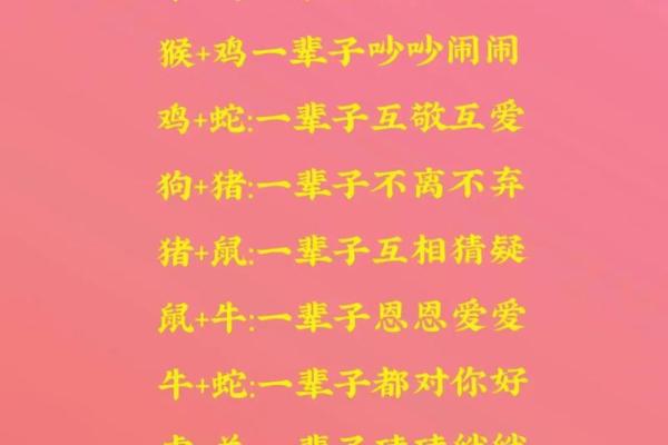 斤斤计较是什么生肖