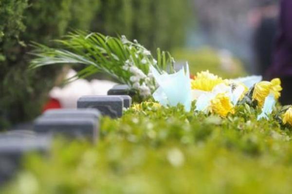 4.5号清明节 4.5号清明节