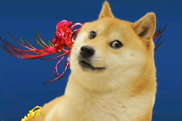 1982年属狗一生大劫年 82年属狗人42岁过七劫 1982年属狗一生大劫年 82年属狗人42岁过七劫