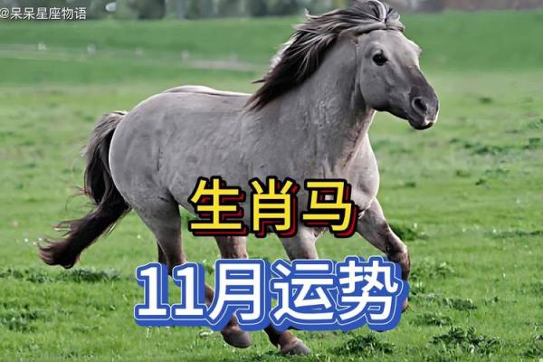 属马在2026年本命年运势如何 2026年属马本命年运势解析及注意事项 属马在2026年本命年运势如何 2026年属马本命年运势解析及注意事项