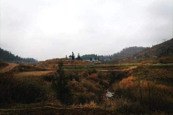 4月2号动土好吗 4月2号动土好吗