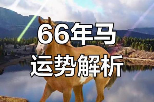 1966年属马的今年多大了_66年属马59岁2025劫难 1966年属马的今年多大了_66年属马59岁2025劫难