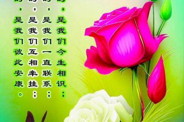 缘分的诗句_形容珍惜缘分的诗句 缘分的诗句_形容珍惜缘分的诗句