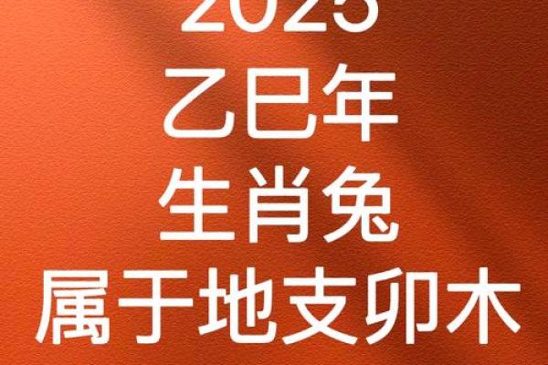 1987年属兔女2025年的运势及运程_1987年属兔女2025年运势详解运程走向与关键转折点 1987年属兔女2025年的运势及运程_1987年属兔女2025年运势详解运程走向与关键转折点