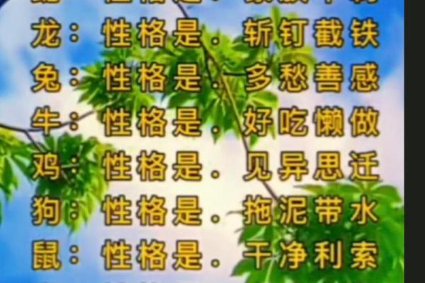 “满腔热忱”打一准确动物生肖,满腔热忱是什么生肖答案解释释义落实 “满腔热忱”打一准确动物生肖,满腔热忱是什么生肖答案解释释义落实