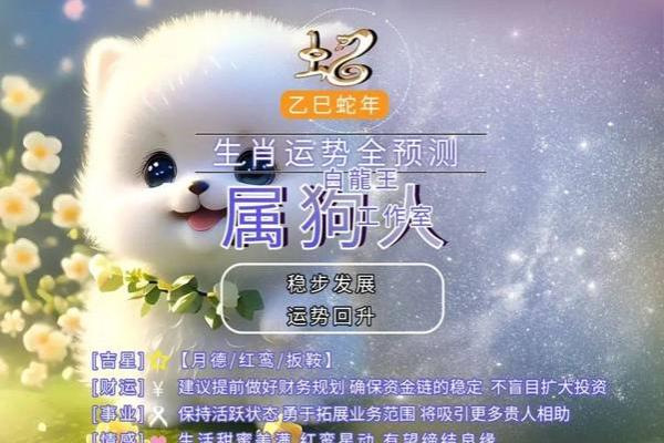 94年属狗的2025年运势 2025年属狗人运势详解94年出生者必看 94年属狗的2025年运势 2025年属狗人运势详解94年出生者必看