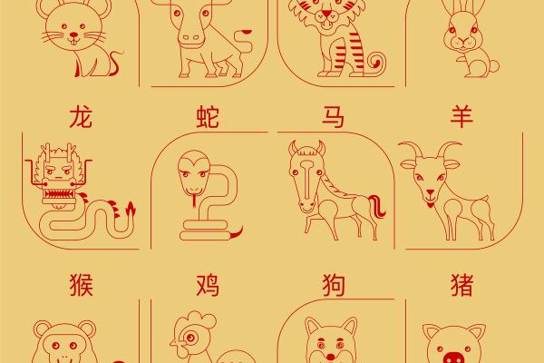 鼠肚鸡肠是什么生肖