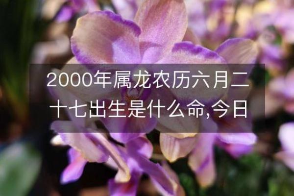2000年属龙的人命运如何 2000年 属龙 2000年属龙的人命运如何 2000年 属龙