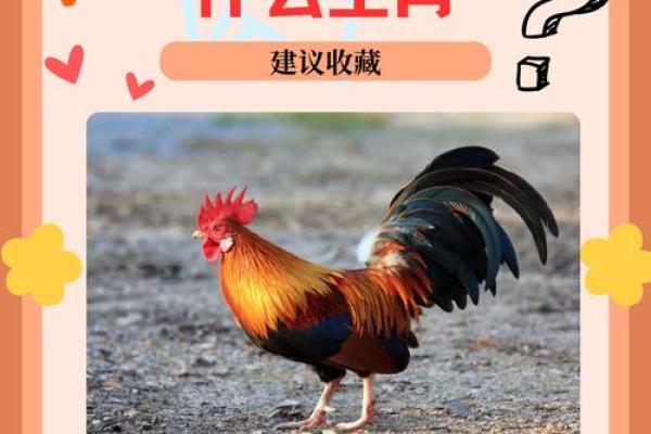 “暗侵肌骨丧三层”打一准确生肖,暗侵肌骨丧三层是指什么生肖答案解释释义落实 “暗侵肌骨丧三层”打一准确生肖,暗侵肌骨丧三层是指什么生肖答案解释释义落实