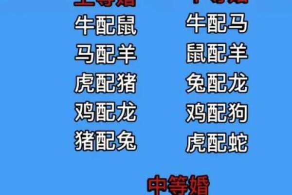 姻缘配对属相婚配表_属相婚配表姻缘配对指南助你找到最佳伴侣