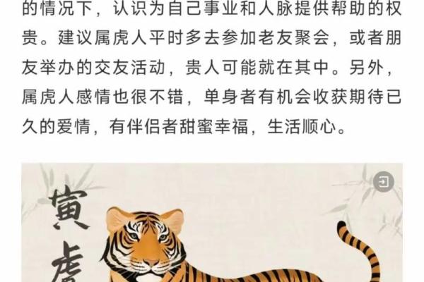 1999年1月出生属兔还是虎_1999年一月出生的人怎么样 1999年1月出生属兔还是虎_1999年一月出生的人怎么样