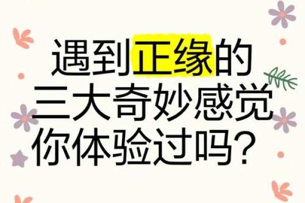 遇到正缘是种什么感觉呢_遇到正缘的几种特征