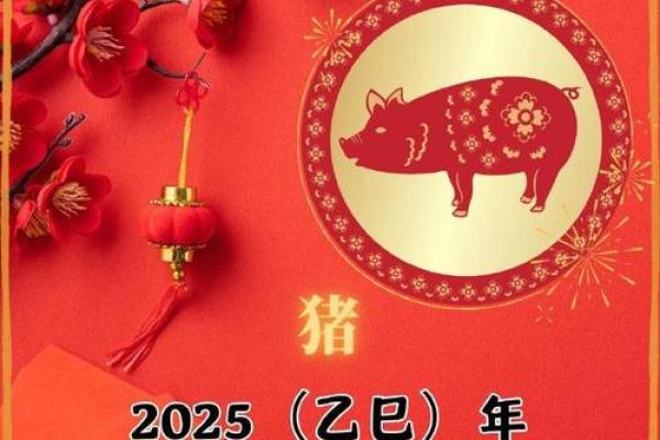 2025属猪人 2025属猪人运势解析财运事业爱情全攻略 2025属猪人 2025属猪人运势解析财运事业爱情全攻略