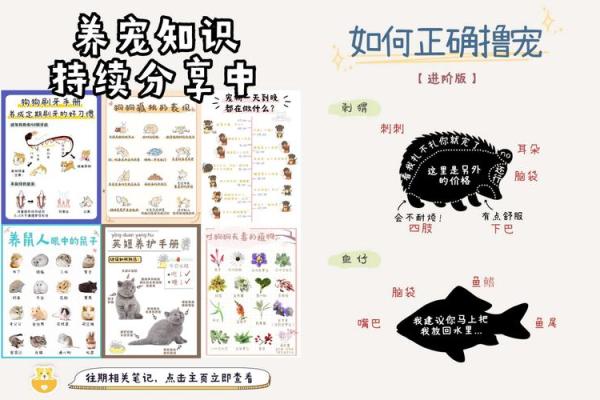 “手无寸铁”打一个生肖动物,手无寸铁打一生肖答案解释释义落实 “手无寸铁”打一个生肖动物,手无寸铁打一生肖答案解释释义落实