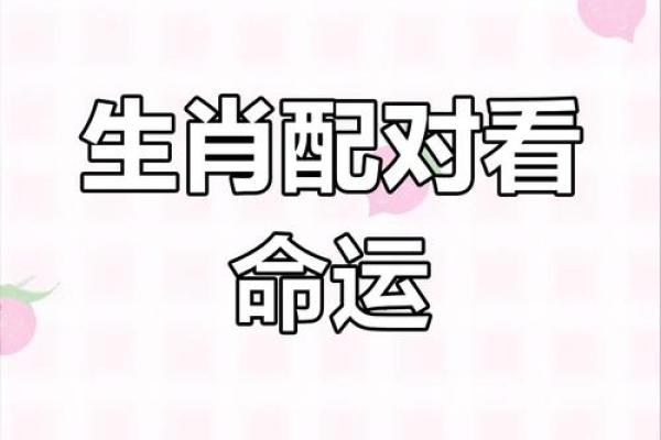 蛇兔配的姻缘怎么样啊 蛇兔配的姻缘怎么样啊女生
