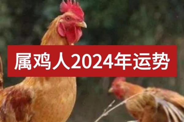 2024属鸡要小心一个人_2024年属鸡需警惕小心身边这个人 2024属鸡要小心一个人_2024年属鸡需警惕小心身边这个人