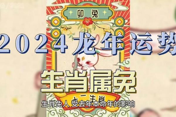 24年属兔人的全年运势_2024年属兔人全年运势详解财运事业爱情全面解析
