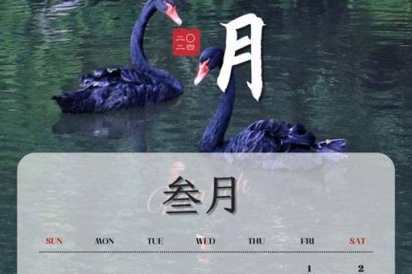 三月份日历表2023图片高清(三月份月历图片)