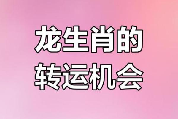 属马2025事业运势_2025属马人全年事业运程详解吉月助力腾飞指南 属马2025事业运势_2025属马人全年事业运程详解吉月助力腾飞指南