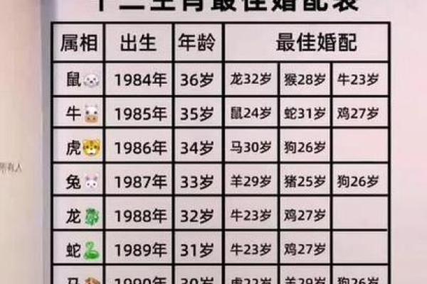 1975属兔人最佳婚配属相大揭秘 1975属兔人最佳婚配属相大揭秘