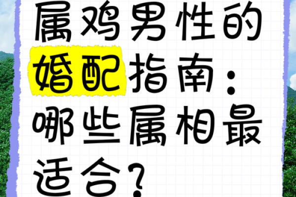 81属鸡女命中注定的丈夫_81属鸡女的注定婚姻