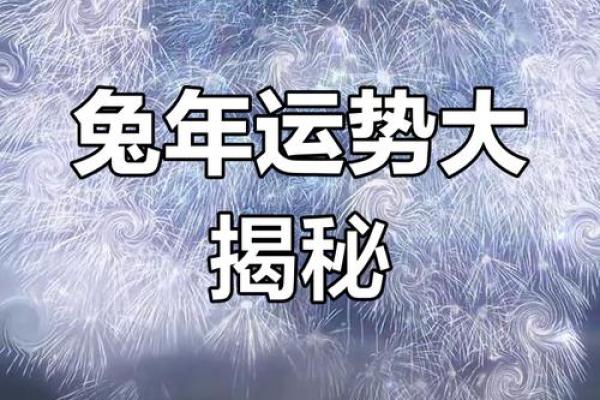 1975属兔2025年运势详解财运事业感情全解析 1975属兔2025年运势详解财运事业感情全解析