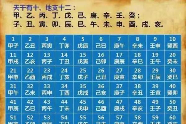 蛇年属马人运势解析2023年财运事业运全指南 蛇年属马人运势解析2023年财运事业运全指南