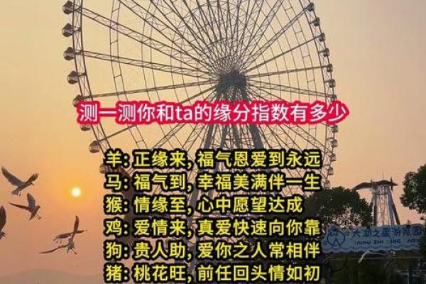 免费姓名测缘分揭秘你与TA的奇妙联系