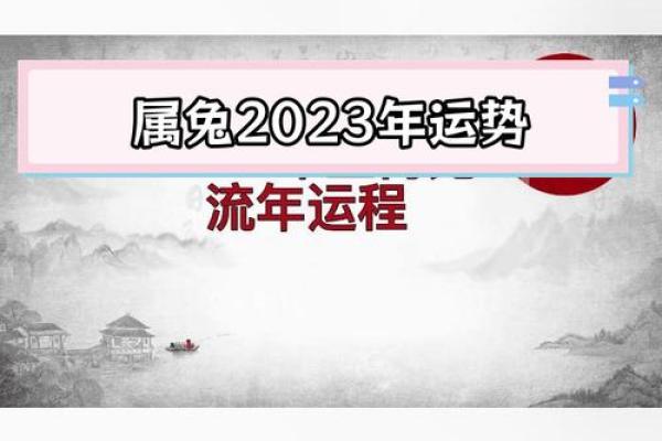 2025年属兔的运势 2025年属兔运势详解财运事业感情全面解析 2025年属兔的运势 2025年属兔运势详解财运事业感情全面解析
