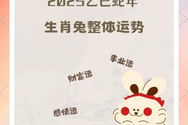 1963年属兔的2025年运势 1963年属兔2025年运势解析财运健康感情全预测