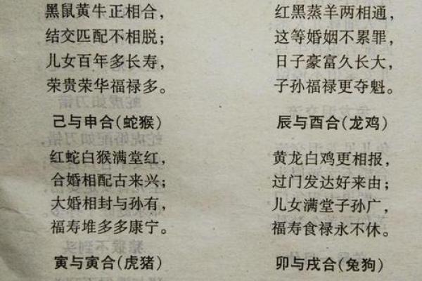 属羊与属兔婚配好吗解析生肖配对的最佳组合 属羊与属兔婚配好吗解析生肖配对的最佳组合