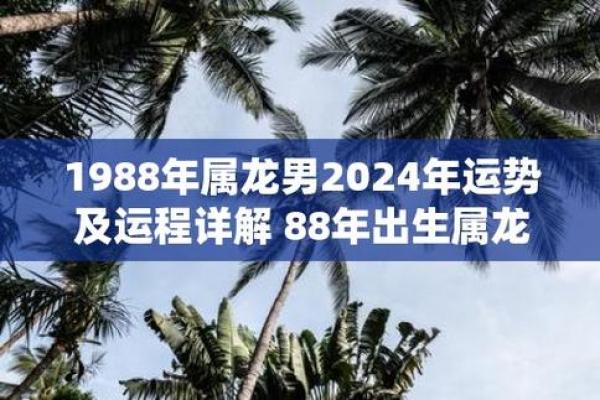 1988年属龙人2024年运势_1988年属龙人2025年财运如何