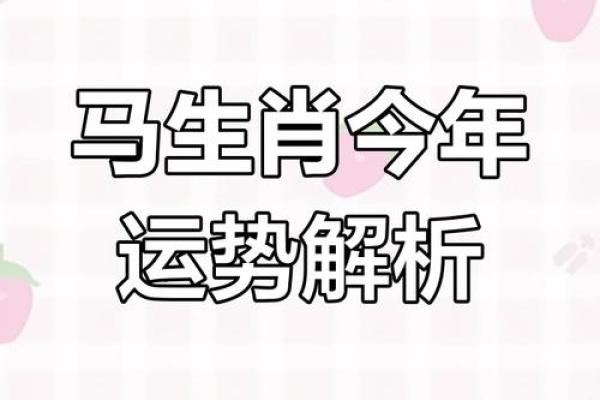 2025属马运势及运程详解_属马人2025年运势及运程每月运程 2025属马运势及运程详解_属马人2025年运势及运程每月运程