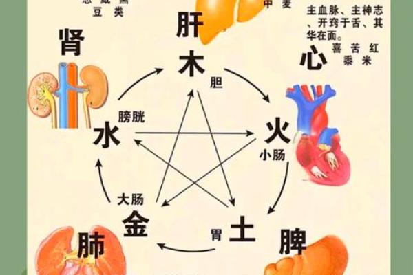 生辰八字测五行揭秘命运与五行的奥秘