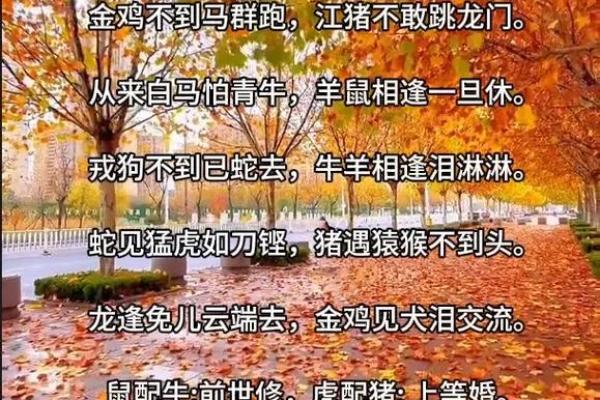 90年属马的正缘_2023年农历十月90年属马人正缘婚恋运势解析 90年属马的正缘_2023年农历十月90年属马人正缘婚恋运势解析