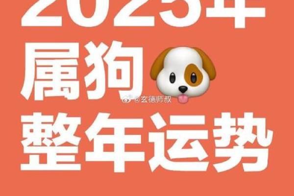 属狗的人2025年的运势 2025年属狗人运势详解事业财运爱情全解析 属狗的人2025年的运势 2025年属狗人运势详解事业财运爱情全解析