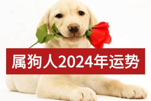 1994年2024年属狗人的全年运势_1994年属狗人2024年运势运程 1994年2024年属狗人的全年运势_1994年属狗人2024年运势运程