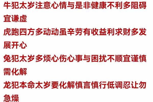 79年属羊2023年每月运势详解财运事业感情全解析 79年属羊2023年每月运势详解财运事业感情全解析