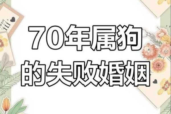 属狗的人命中有两段婚姻_属狗的人命中有两段婚姻真的也 属狗的人命中有两段婚姻_属狗的人命中有两段婚姻真的也