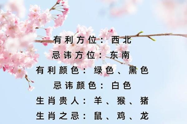 2024年属兔人每月运势详解全年运程预测