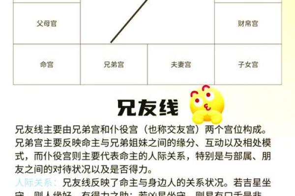 免费姓名分析测试揭秘名字背后的命运密码 免费姓名分析测试揭秘名字背后的命运密码